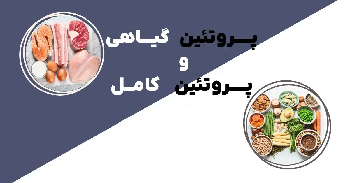 پروتئین گیاهی و پروتئین کامل-img